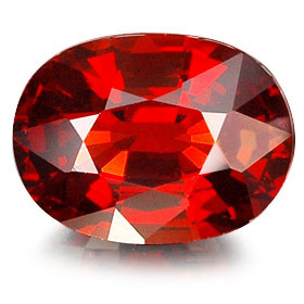 PRDT100480