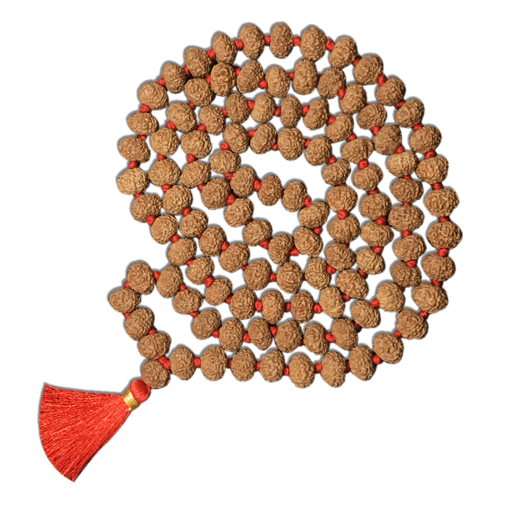 8 mukhi mala-2