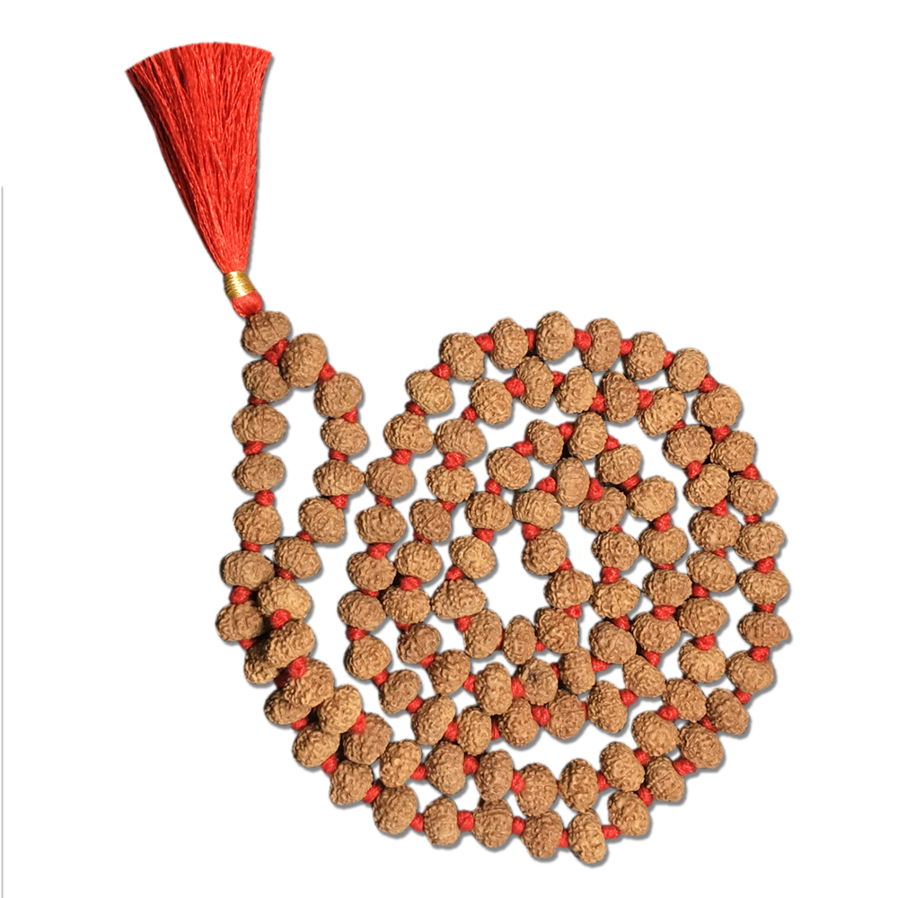 9 Mukhi Mala 1N