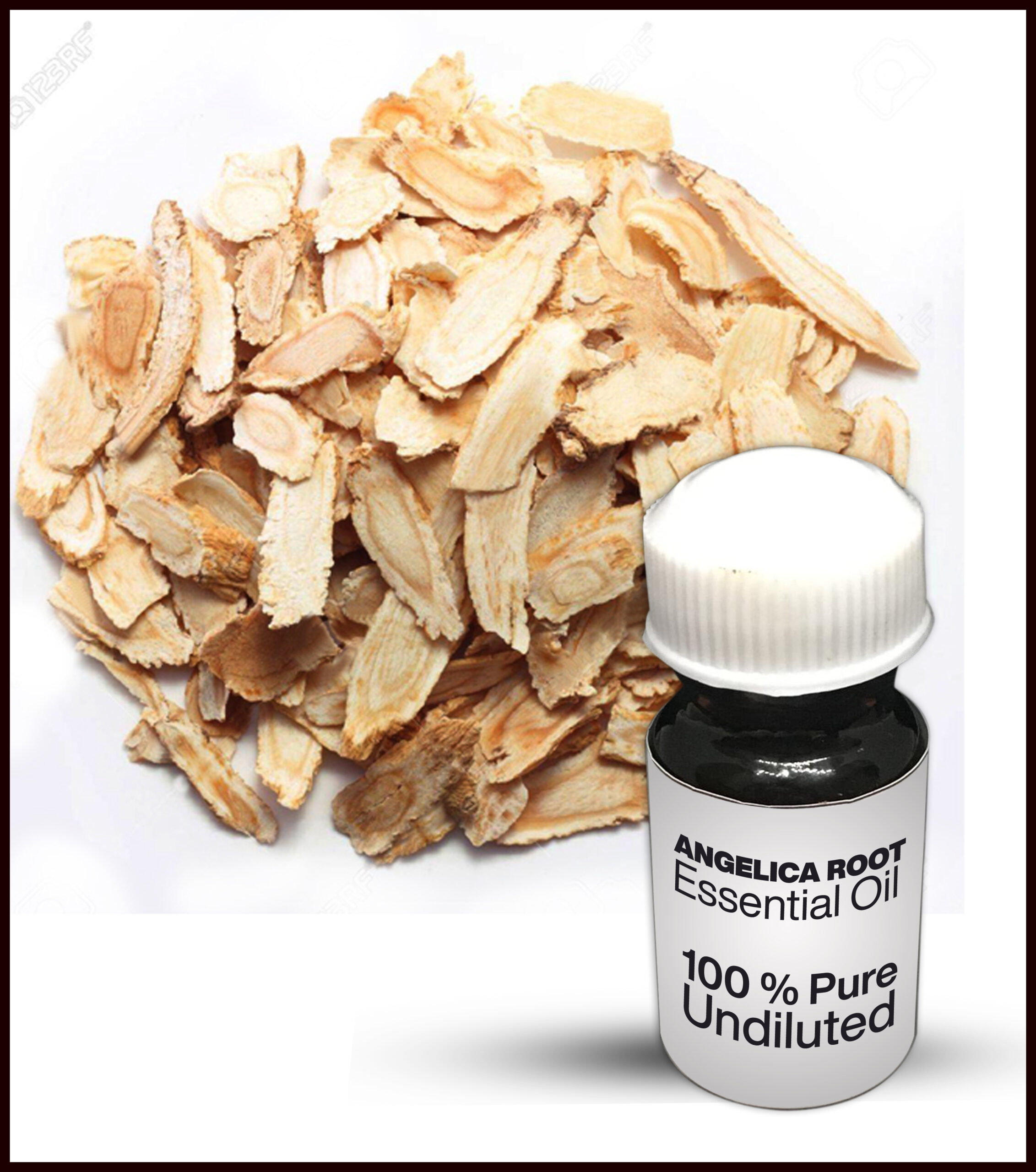 ANGELICA ROOT