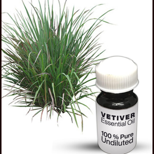 VETIVER
